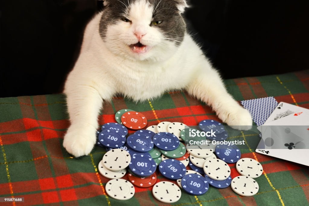 JPN WE: JEF United Ichihara Chiba Ladies vs AC Nagano Parceiro Ladies