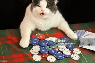 JPN WE: JEF United Ichihara Chiba Ladies vs AC Nagano Parceiro Ladies